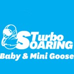 Turbo Soaring