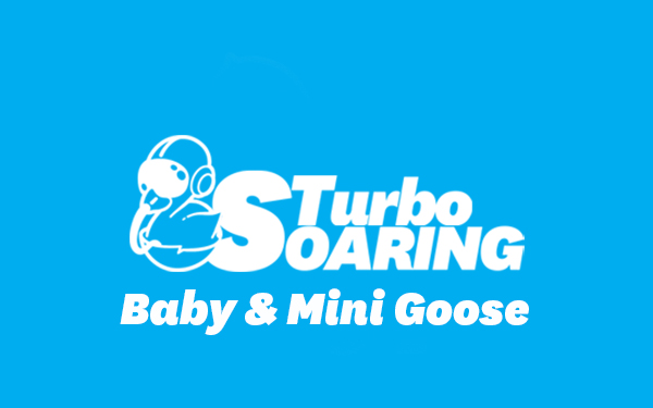 Turbo Soaring